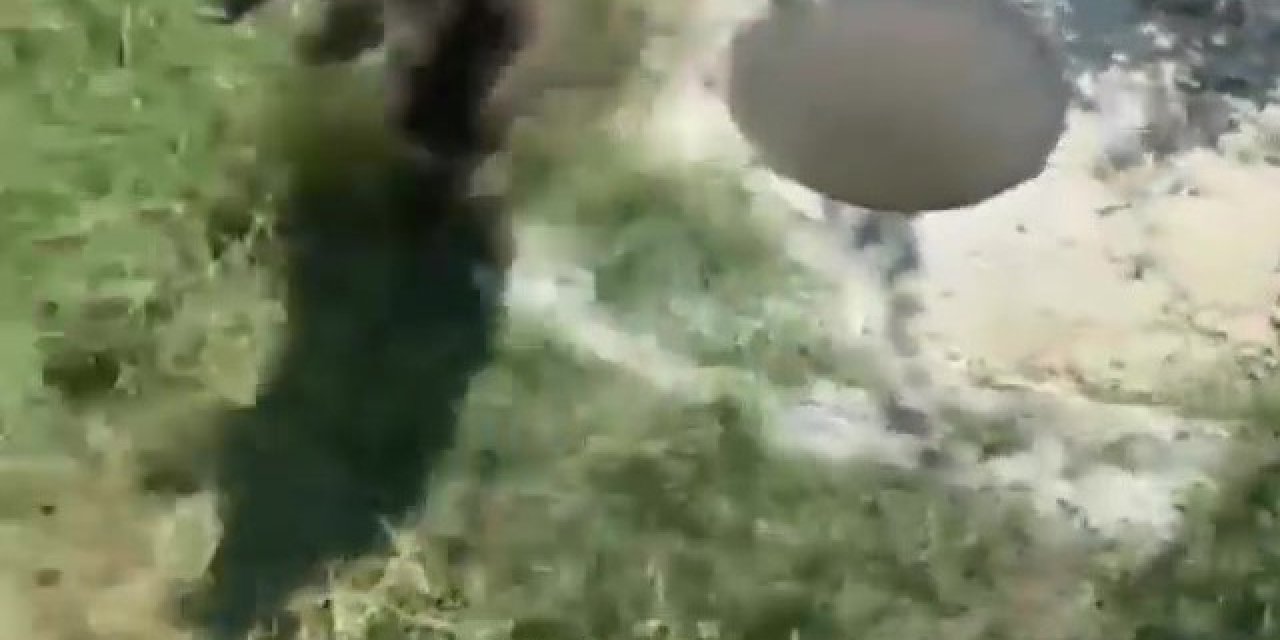 3 metrelik çukura düşen porsuğu itfaiye kurtardı