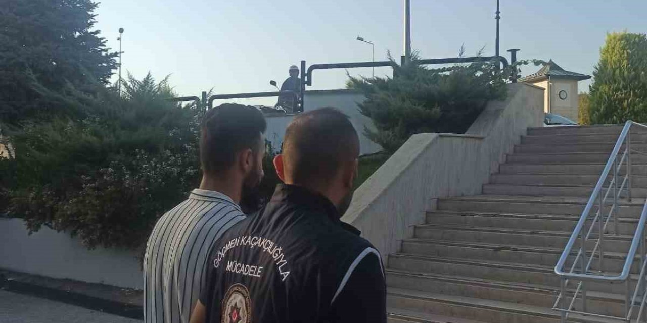 Muğla’da 5 düzensiz göçmen yakalandı