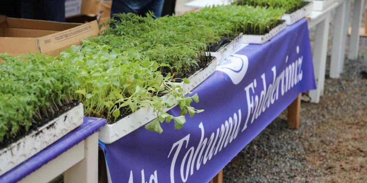 Bodrum Belediyesi üreticilere fide desteği verilecek