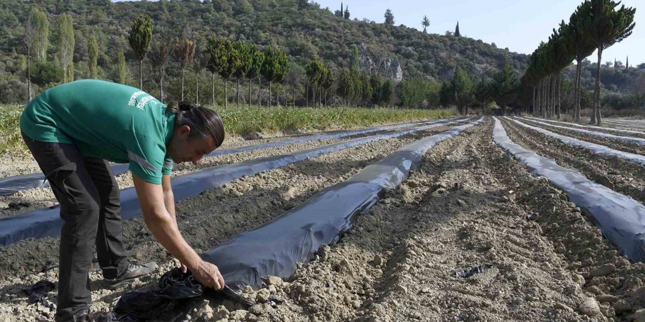 Adabahçe’de kış hazırlıkları başladı