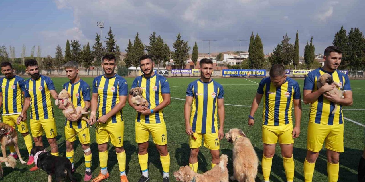 Maça sahiplendirilmeyi bekleyen köpeklerle çıktılar