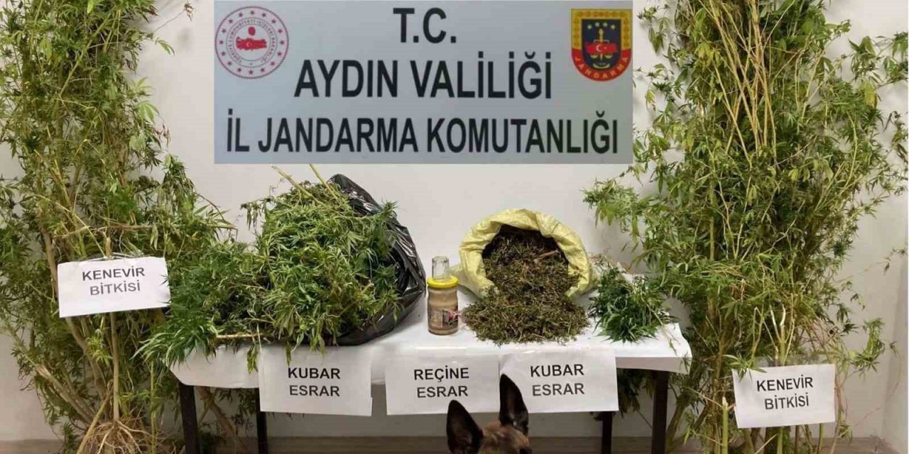 Söke’deki operasyonda 5 kilogram uyuşturucu ele geçirildi