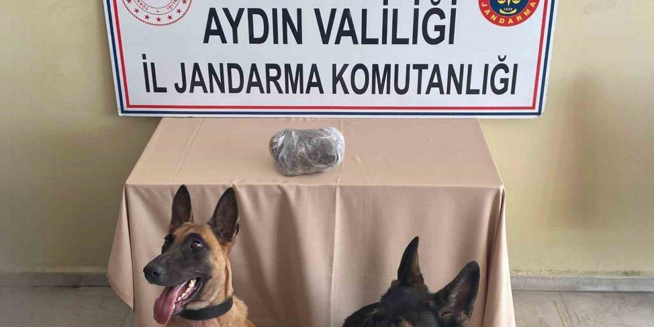 Jandarmanın hassas burunları uyuşturucuya geçit vermedi