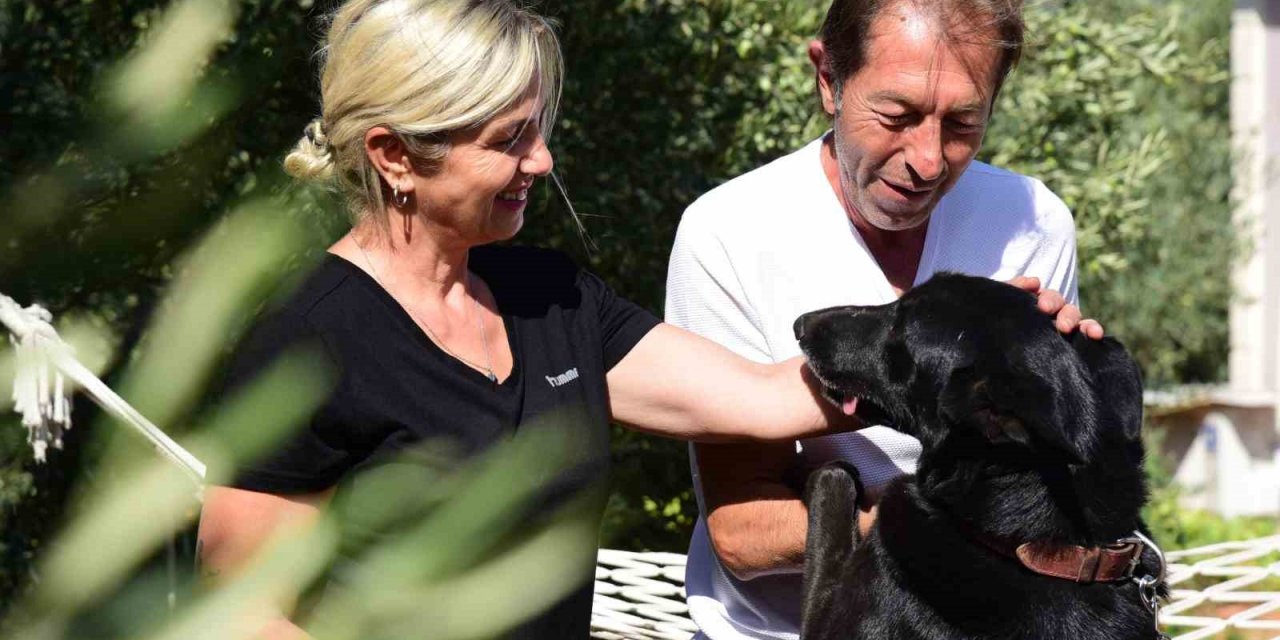 Depremde kaybettikleri köpeklerinin tesellisini ‘Gece’de buldular