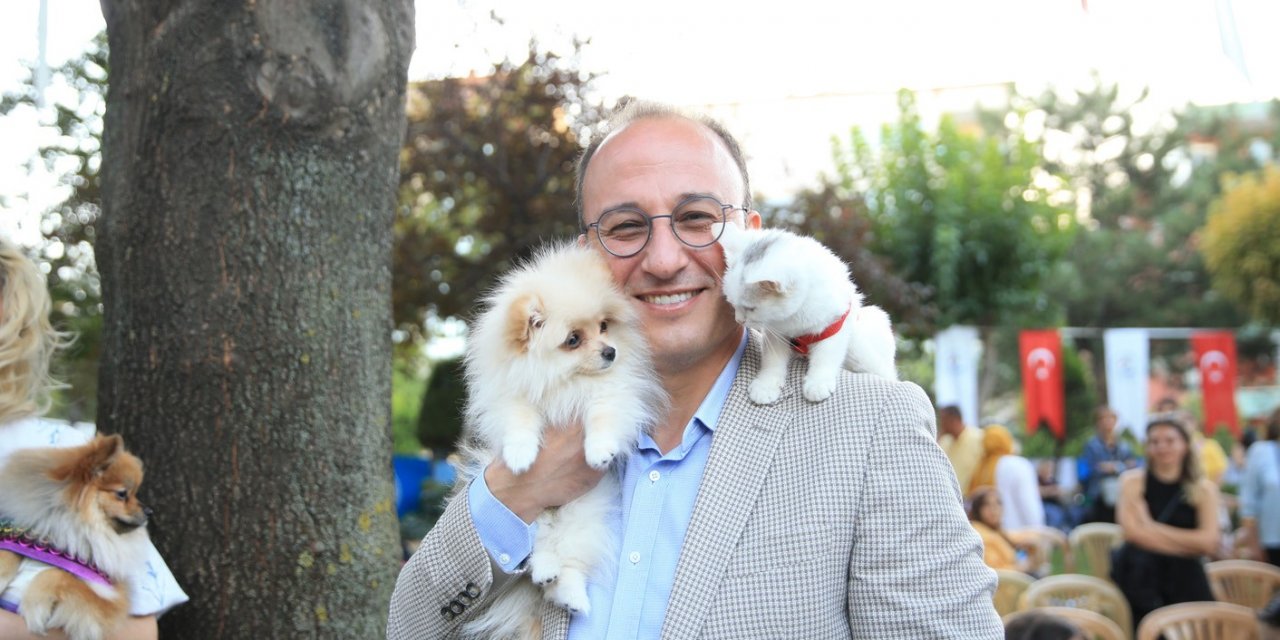 Pati Parkta sona yaklaşıldı