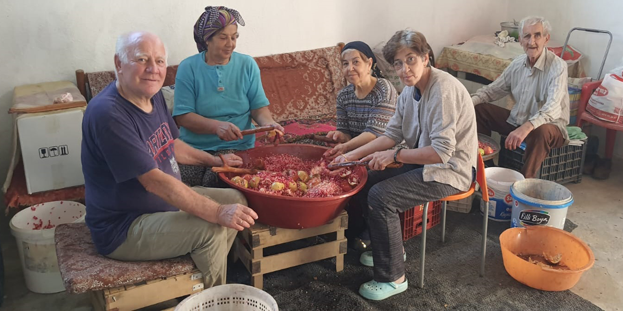 Aydın’da nar ekşisi mesaisi başladı