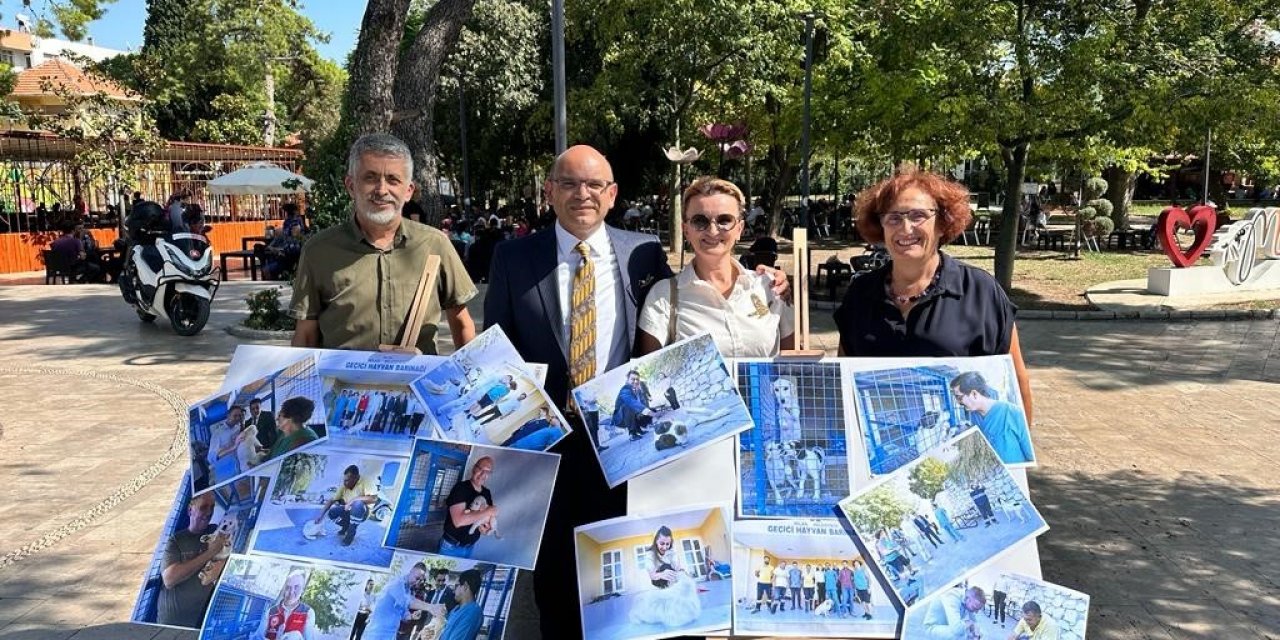 Milaslılar, sokak hayvanları için bir araya geldi