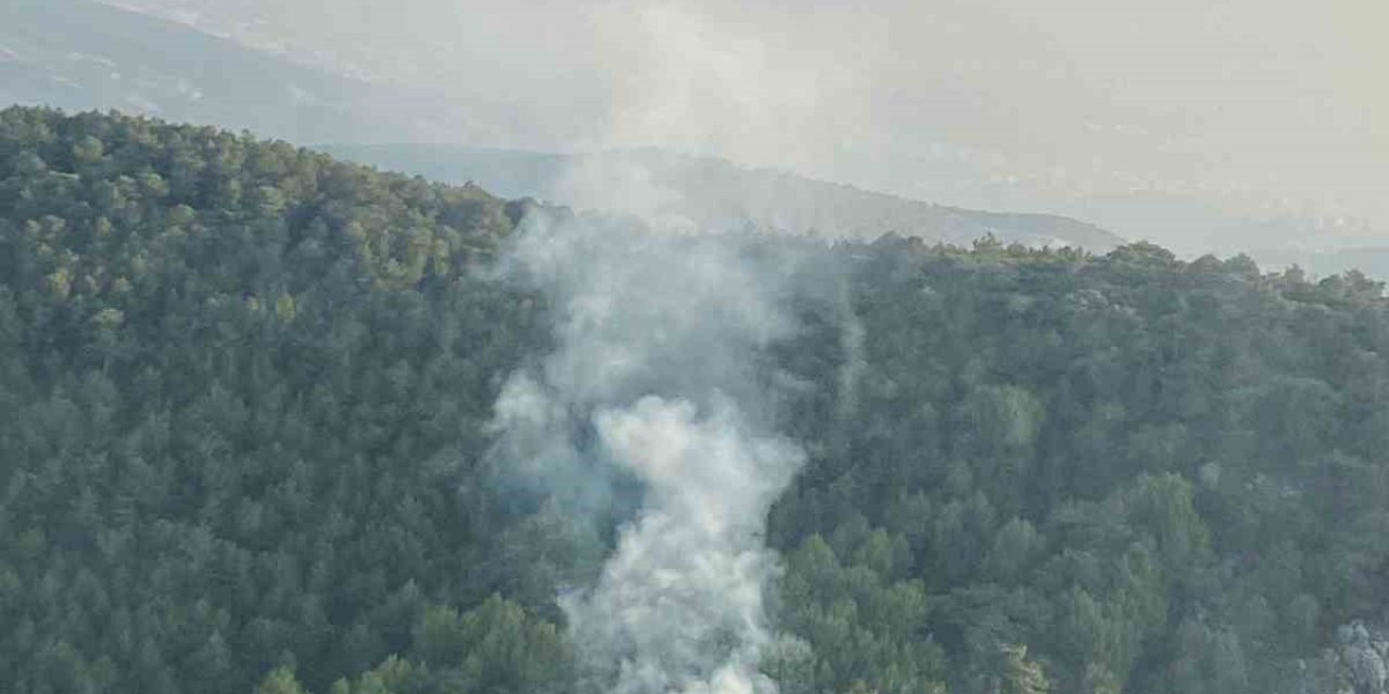 İzmir’de orman yangını: 58 dakikada kontrol altına alındı