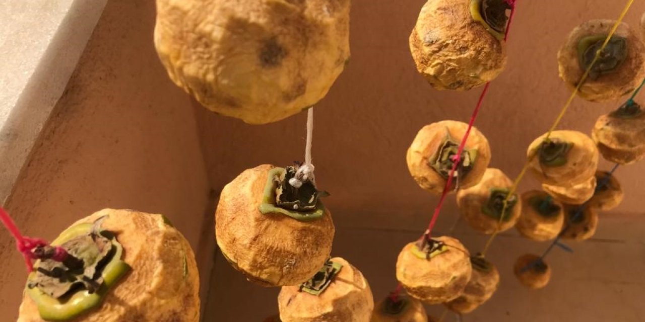 Cennet hurmaları kışa hazırlanıyor