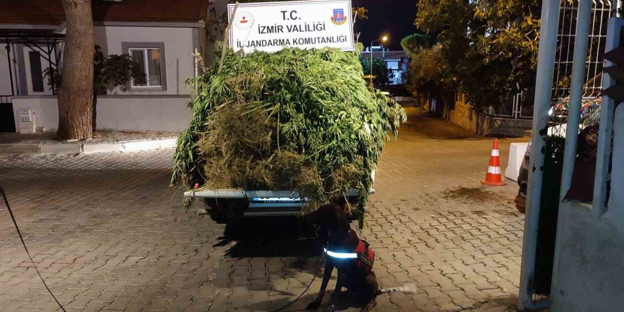 İzmir’deki uyuşturucu operasyonlarına 65 gözaltı