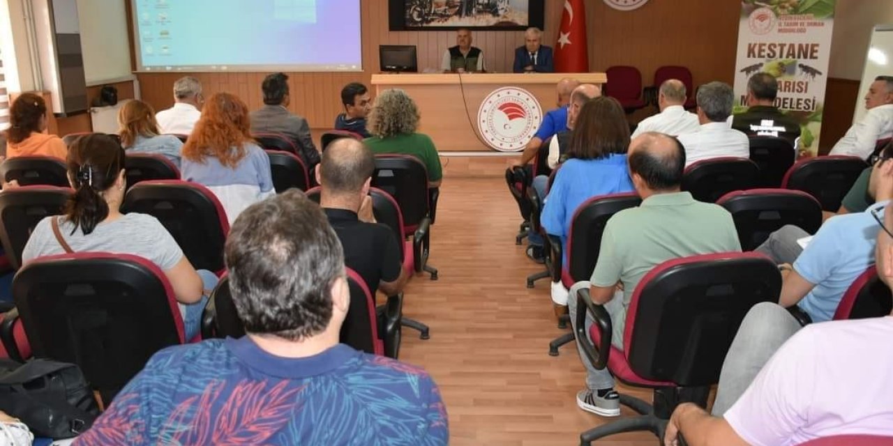 Aydın’da kestane gal arısı ve kestane dal kanseri ile mücadele toplantısı yapıldı