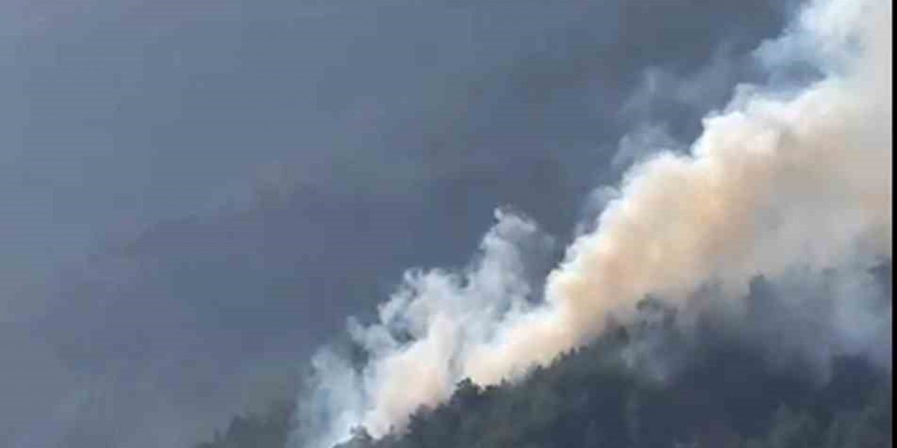 Köyceğiz Otmanlar’da orman yangını