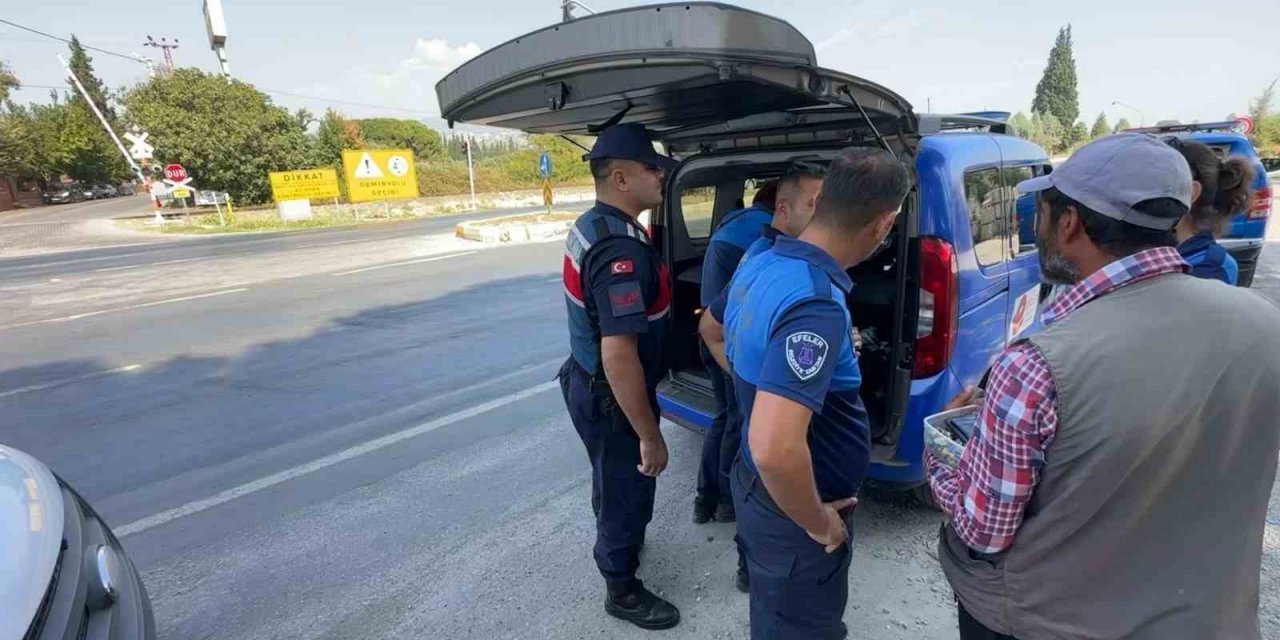 Jandarmadan dilenci operasyonu