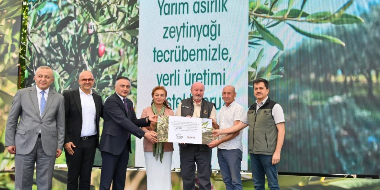 Türkiye’deki delice zeytinleri ekonomiye kazandırılmaya devam ediyor