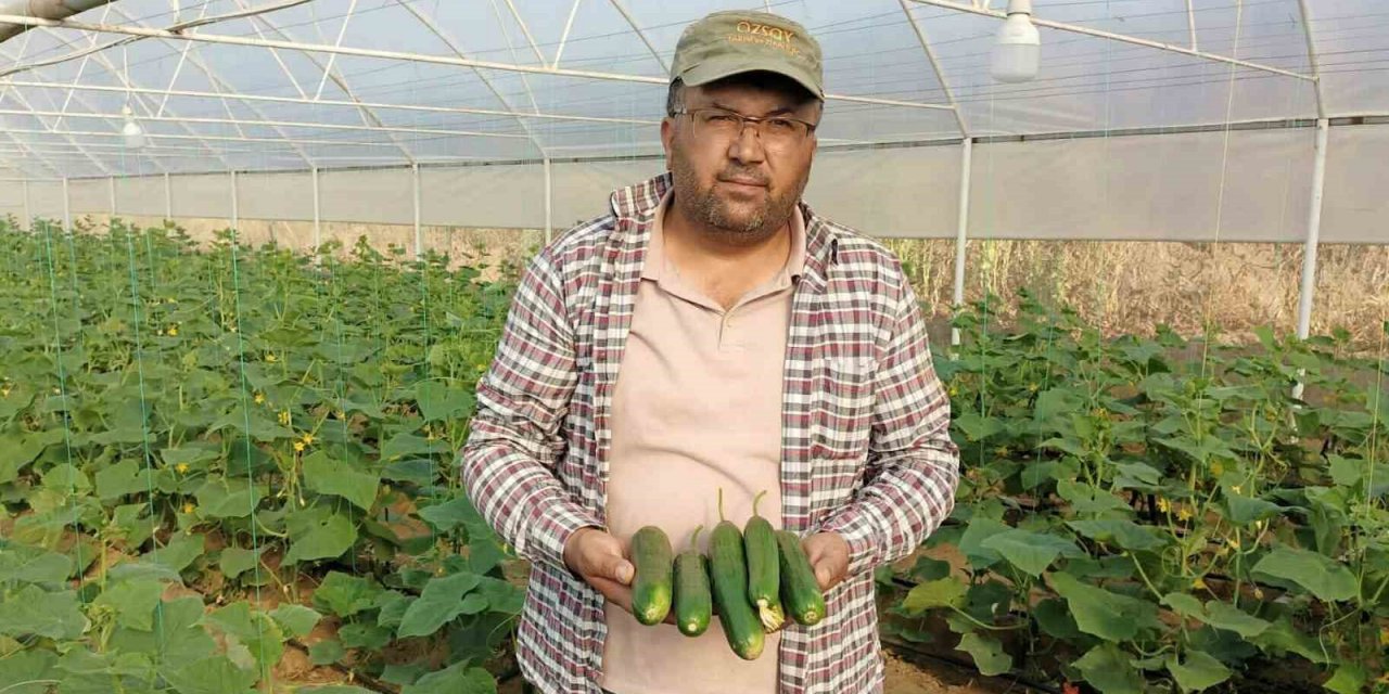 Sarıgöllü girişimci serada yılda iki ürün alıyor