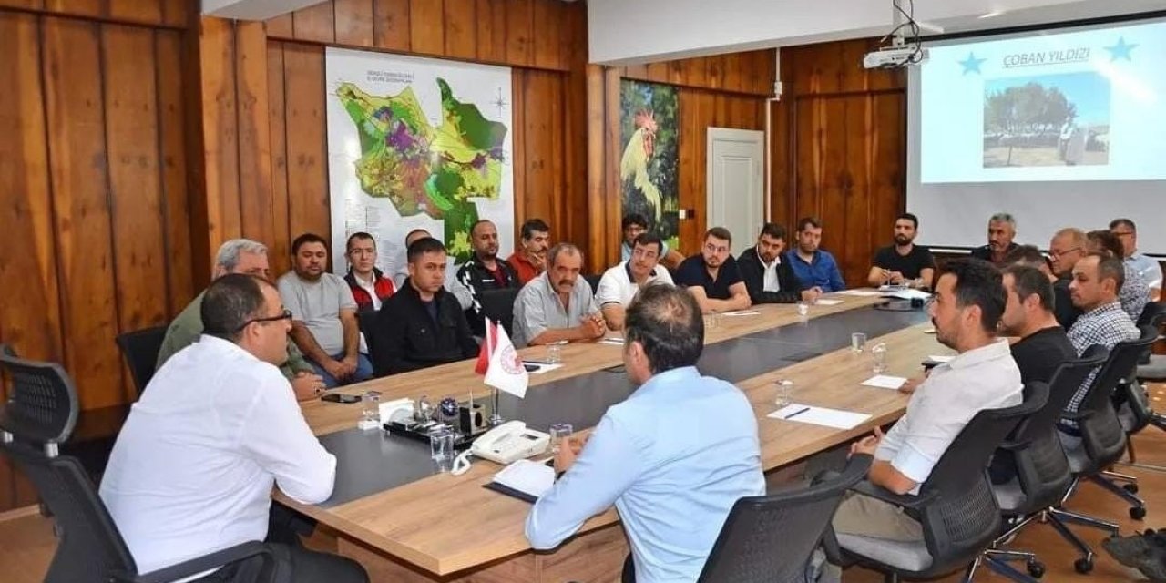 Denizli’de yıldız çobanlar yarışmayla belirlenecek