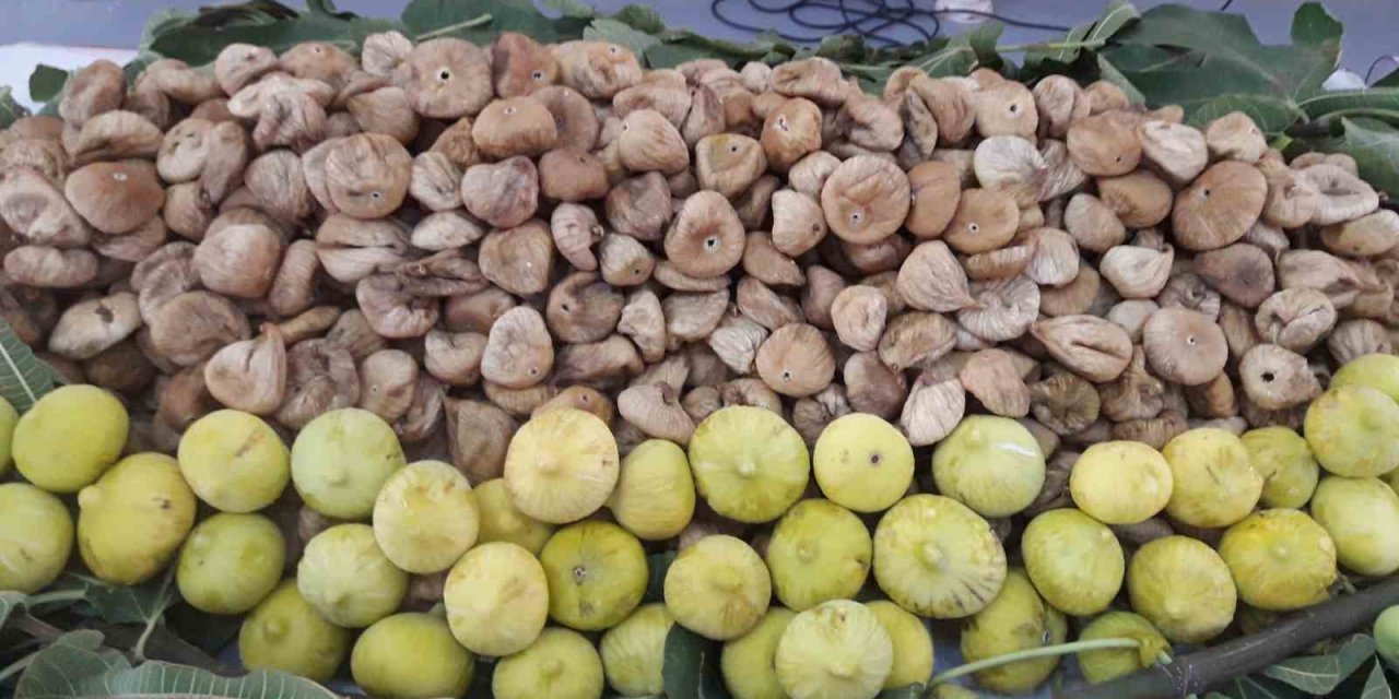 Kuru incir ihracatı 260 milyon dolar oldu