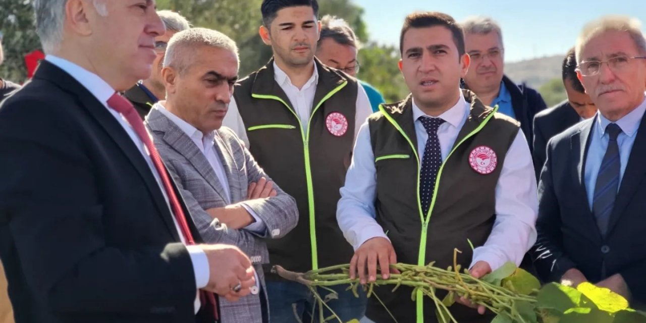 Aliağa’da mısır ve soya silajı tanıtıldı