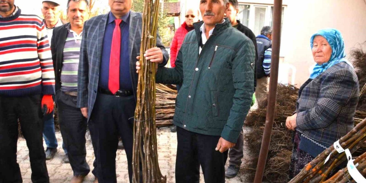 Çameli’nde ceviz üretimini artırmak için fidan desteği verilecek