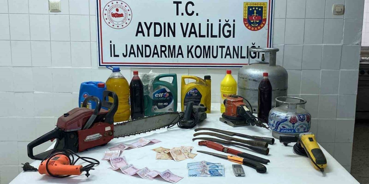 Hırsızı yakalamak için bin 200 saatlik kamera görüntüsü izlediler