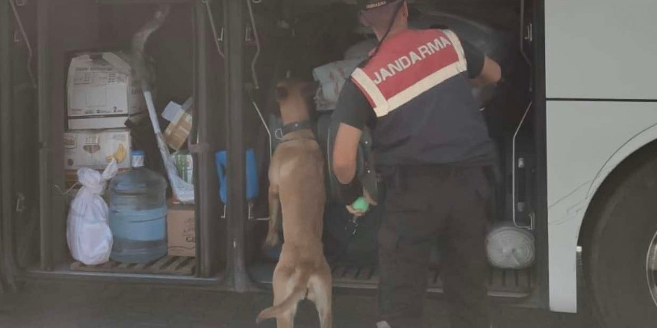 Aydın’da jandarma ekipleri düzensiz göçe geçit vermiyor