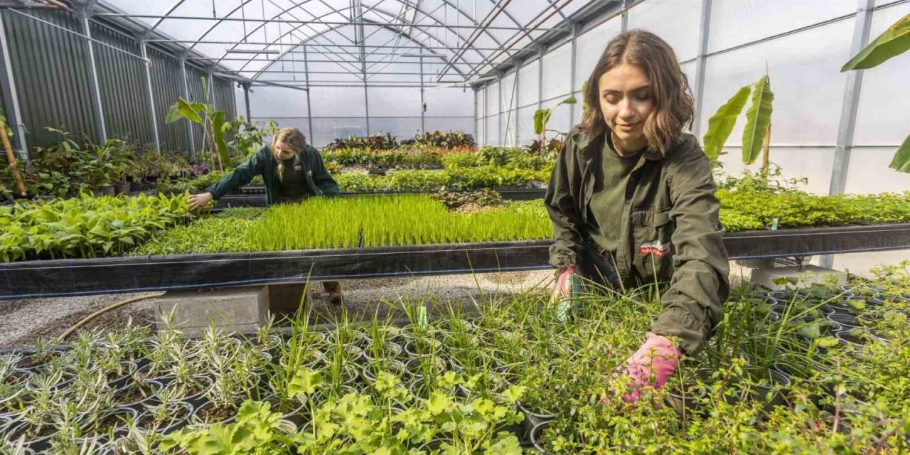 Ağrı’da domates, Van’da muz, Erzurum’da çilek imkansız değil