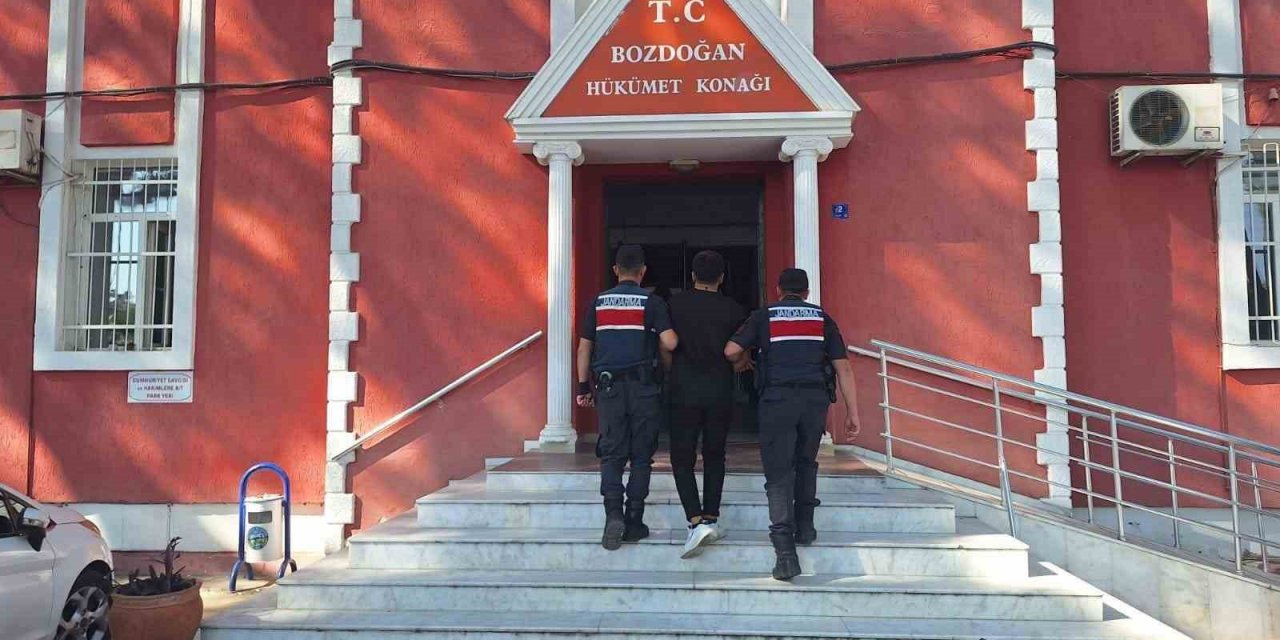 Bozdoğan’da 85 bin liralık incir çaldı, jandarmaya yakalandı