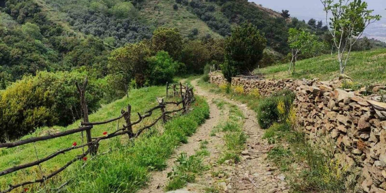 Efeler Yolu, ’En İyi 100 Hikâye’ listesinde