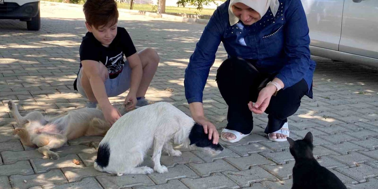 Kendi küçük sevgisi büyük