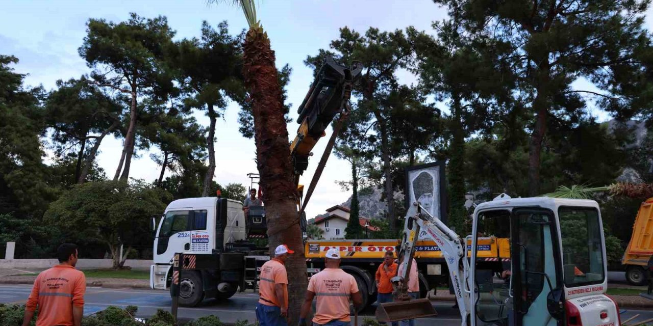 İçmeler’i palmiyeler süsleyecek