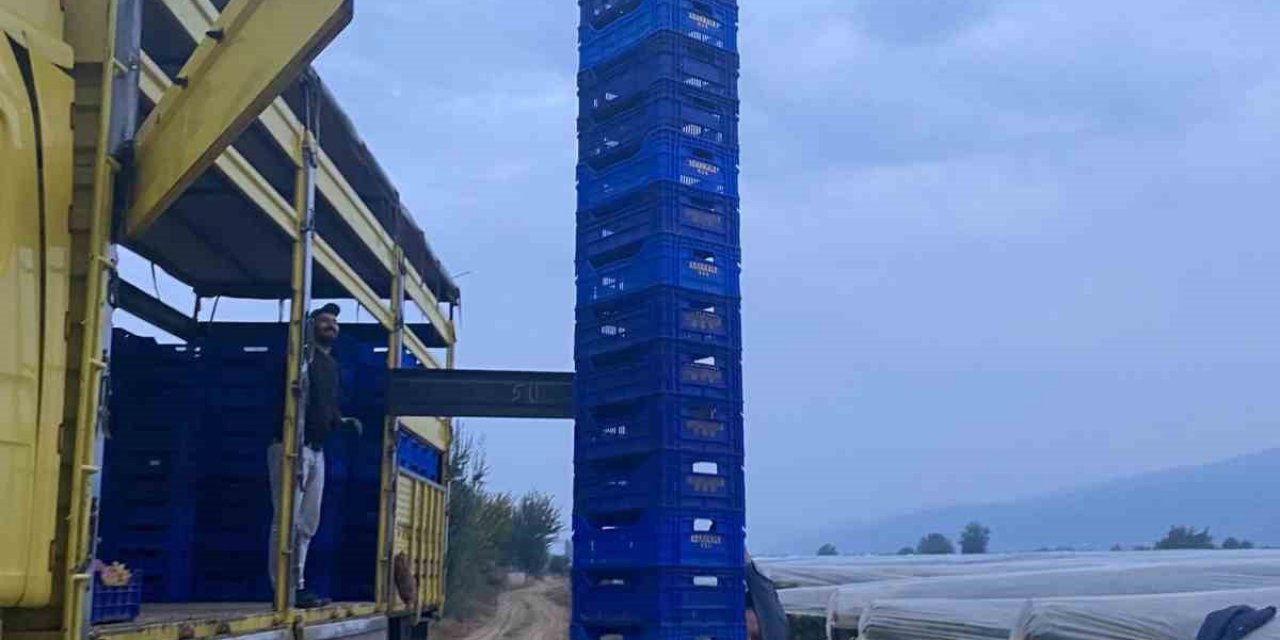 Kasa Herkül’ü iş başında