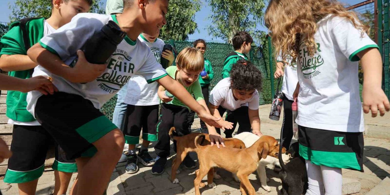 Buca Belediyesi, miniklere hayvan sevgisi aşılıyor