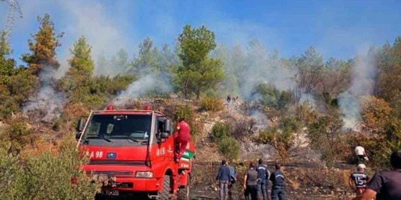 Muğla’da makilik yangını