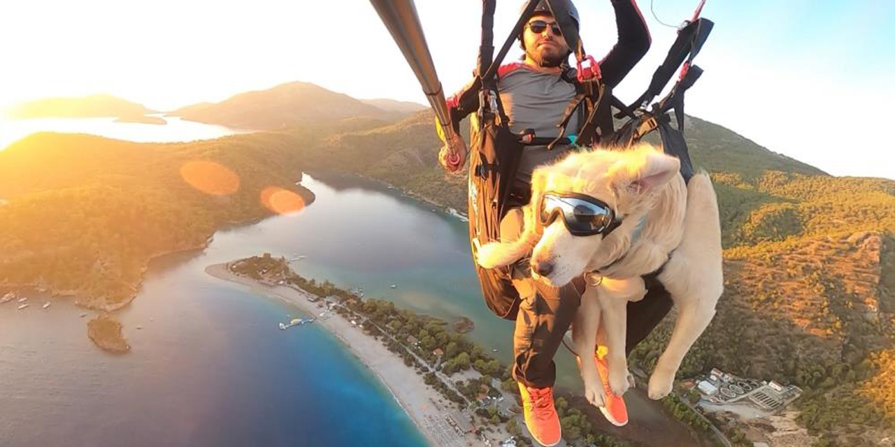Köpeğiyle yamaç paraşütü atlayışı yaptı