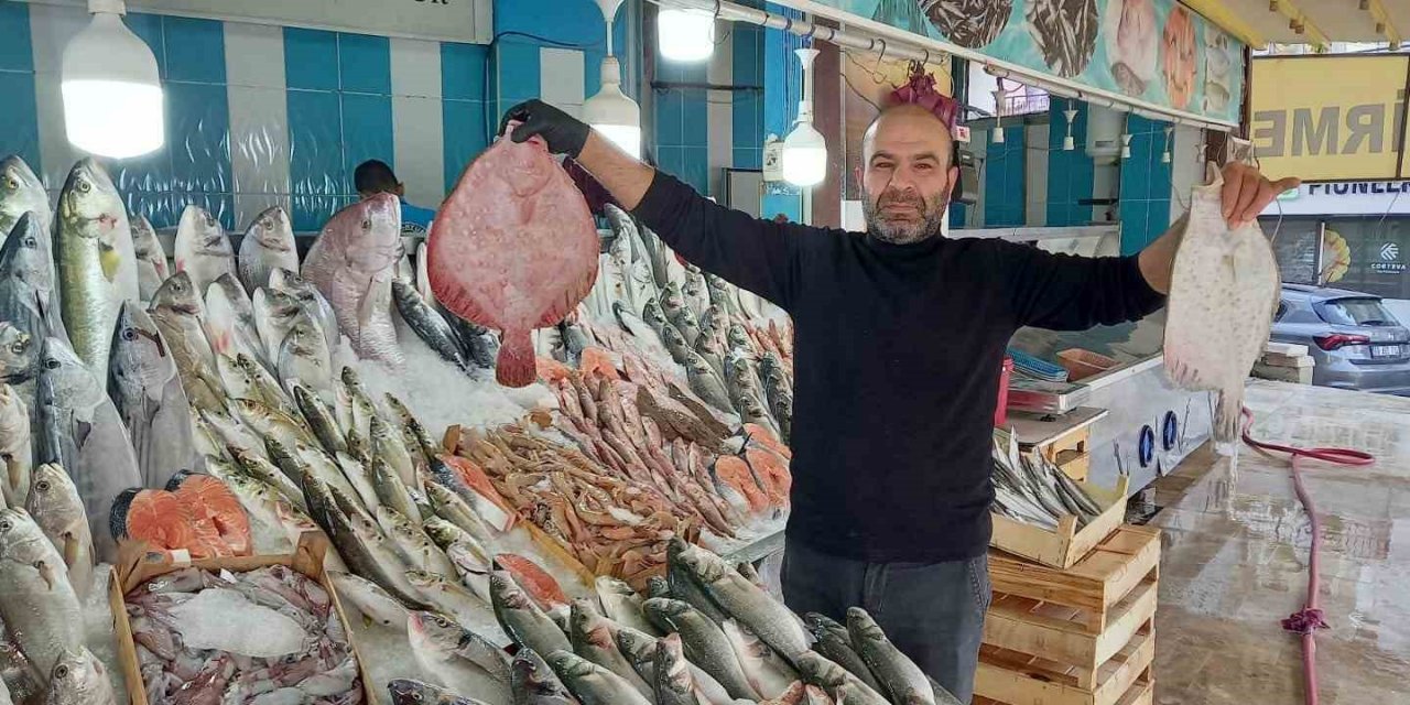 Ege’de yaz gitmeyince balıklar da gelmedi