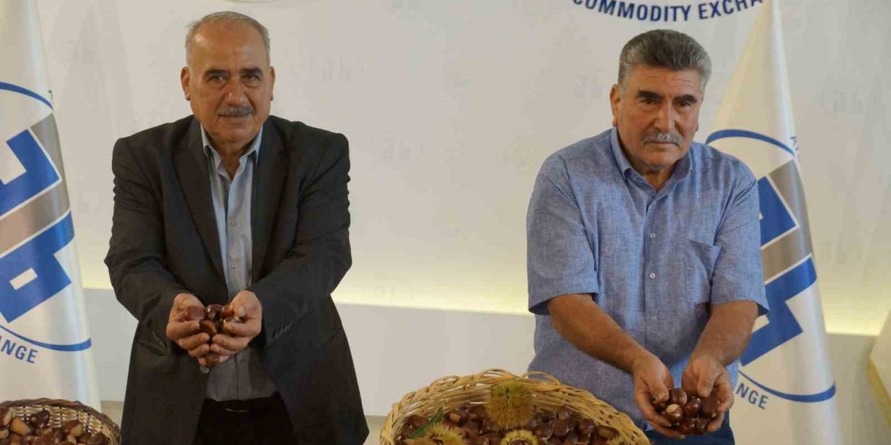 Aydın’da sezonun ilk kestanesi 350 TL’den alındı