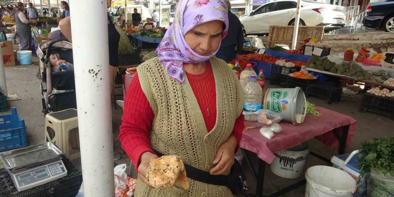 Çıntarlar pazar tezgahlarında yerini aldı