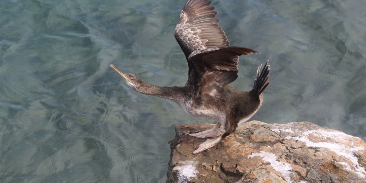 EKODOSD’tan amatör balıkçılara “dikkat” çağrısı