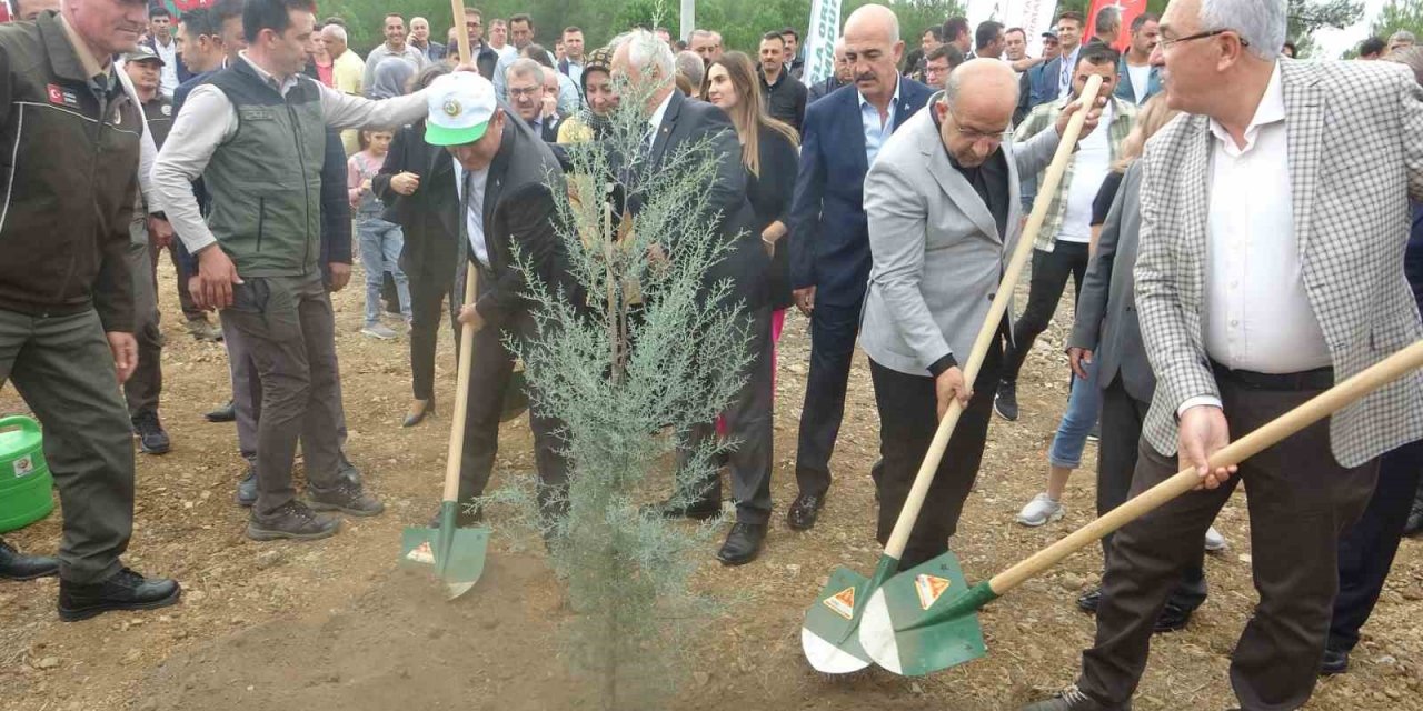 Muğla’da 100. yılda 100 fidan dikildi