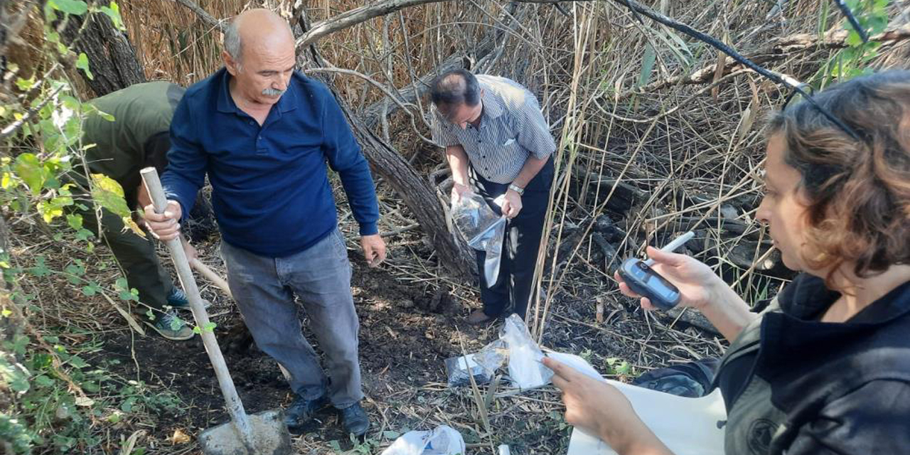 Aydın’da yaban hayvanı alanı incelendi