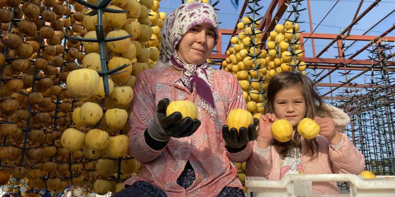 Manisa’dan dünyaya cennet hurması