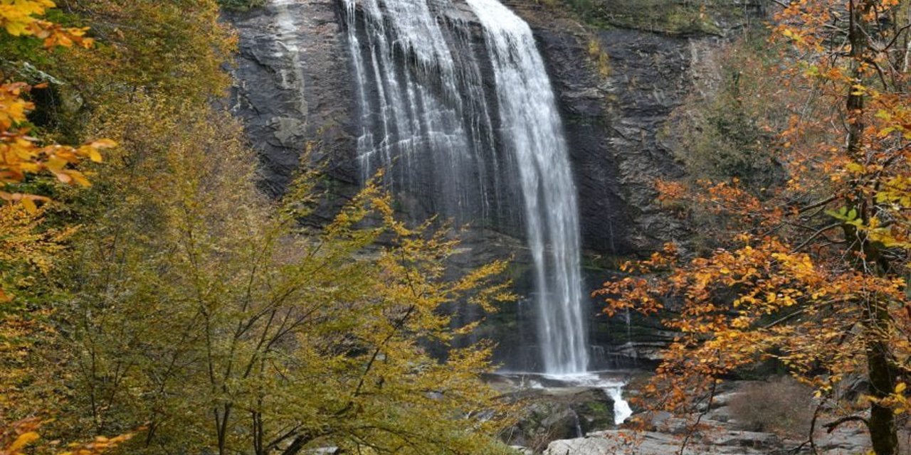 Mustafakemalpaşa'nın Güncel ve Doğru Haber Kaynağı: PAŞA HABER