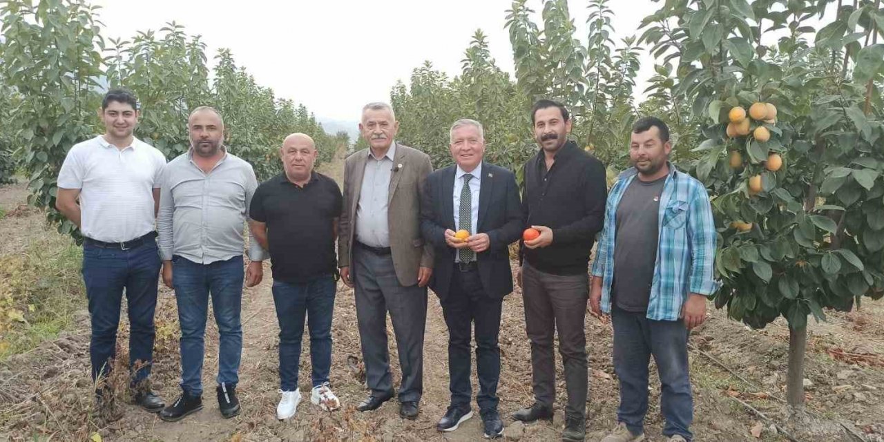 Honaz’da cennet hurması üreticileri nefes alacak