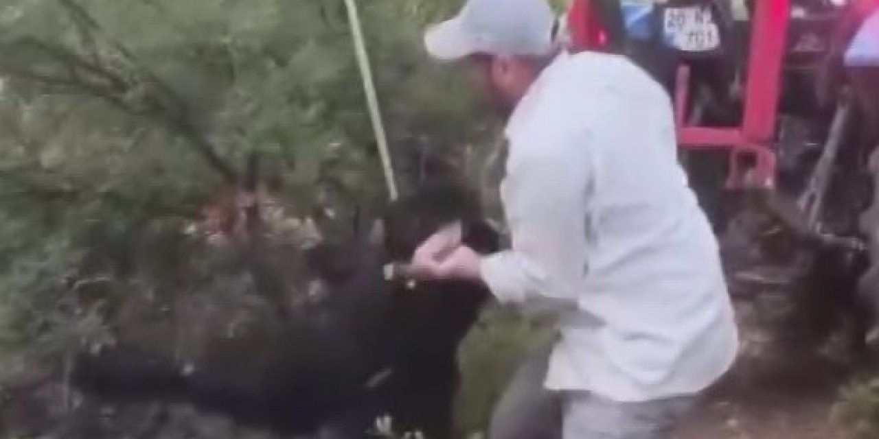 Kuyuya düşen keçi kepçeyle kurtarıldı