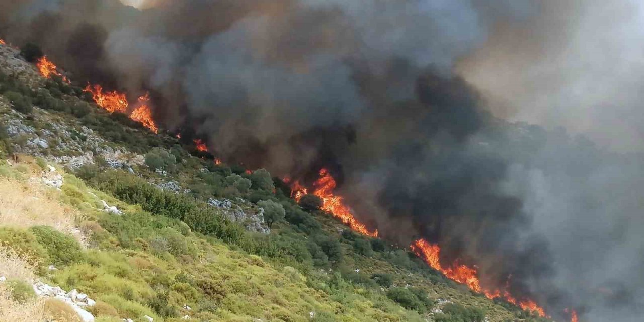 Muğla’da orman yangını