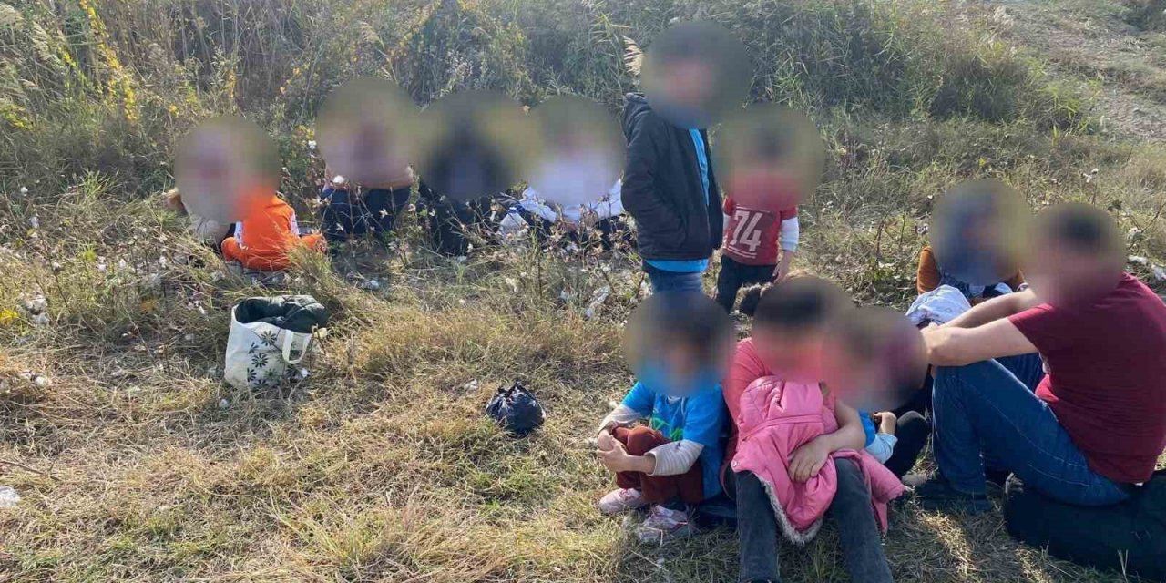 Pamuk tarlasına gizlenmiş düzensiz göçmenler yakalandı
