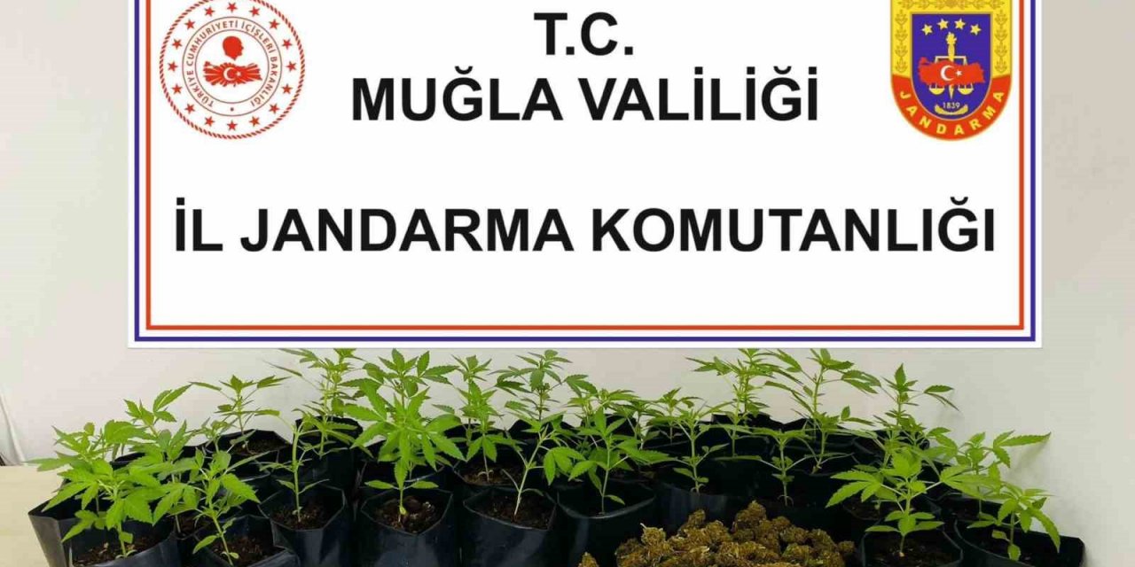 Fethiye’de uyuşturucu operasyonunda 2 kişi tutuklandı