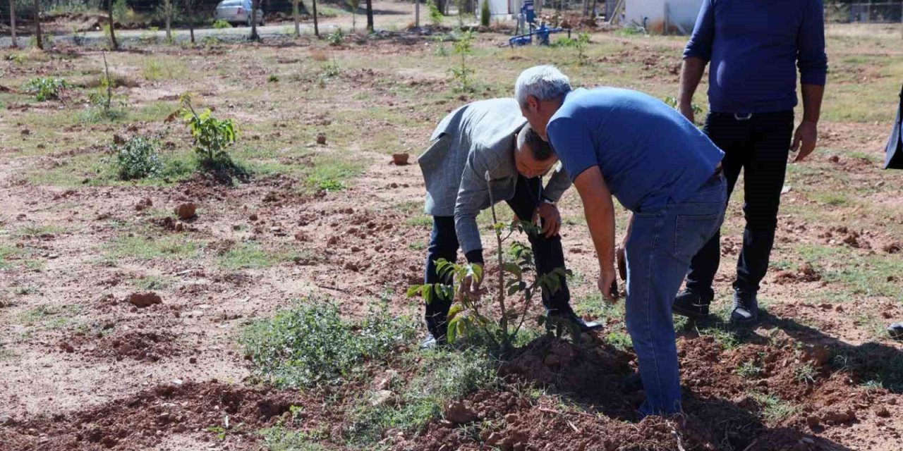 Kavaklıdere’de Ceviz ve Badem deneme bahçesi
