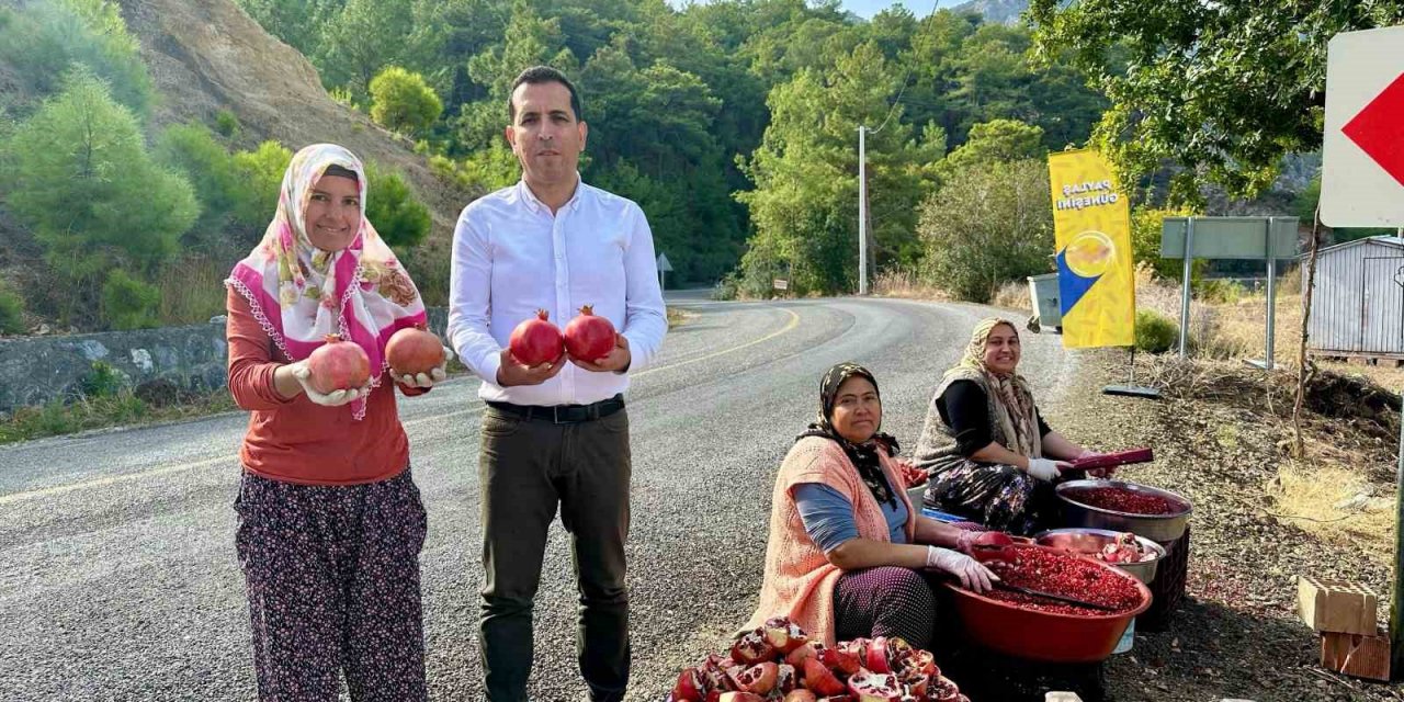 Daldan sofraya ekşi yolculuk