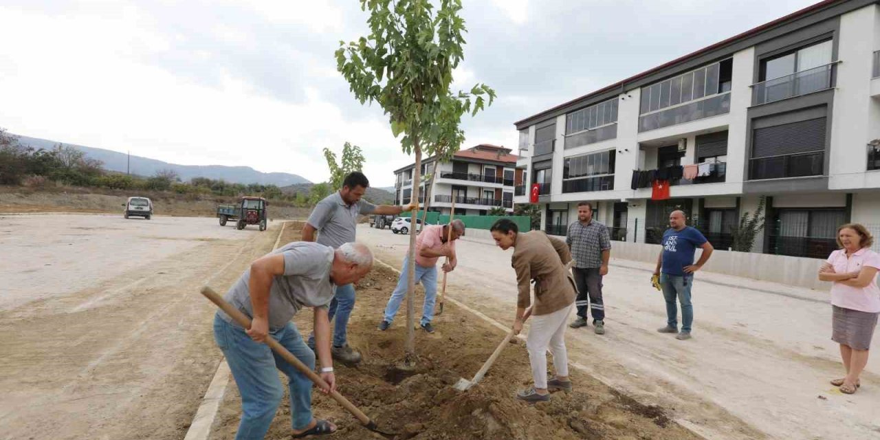 Başkan Ceritoğlu Sengel saha çalışmalarını yerinde inceledi
